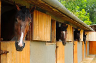 free Pentre Galar stable construction quotes